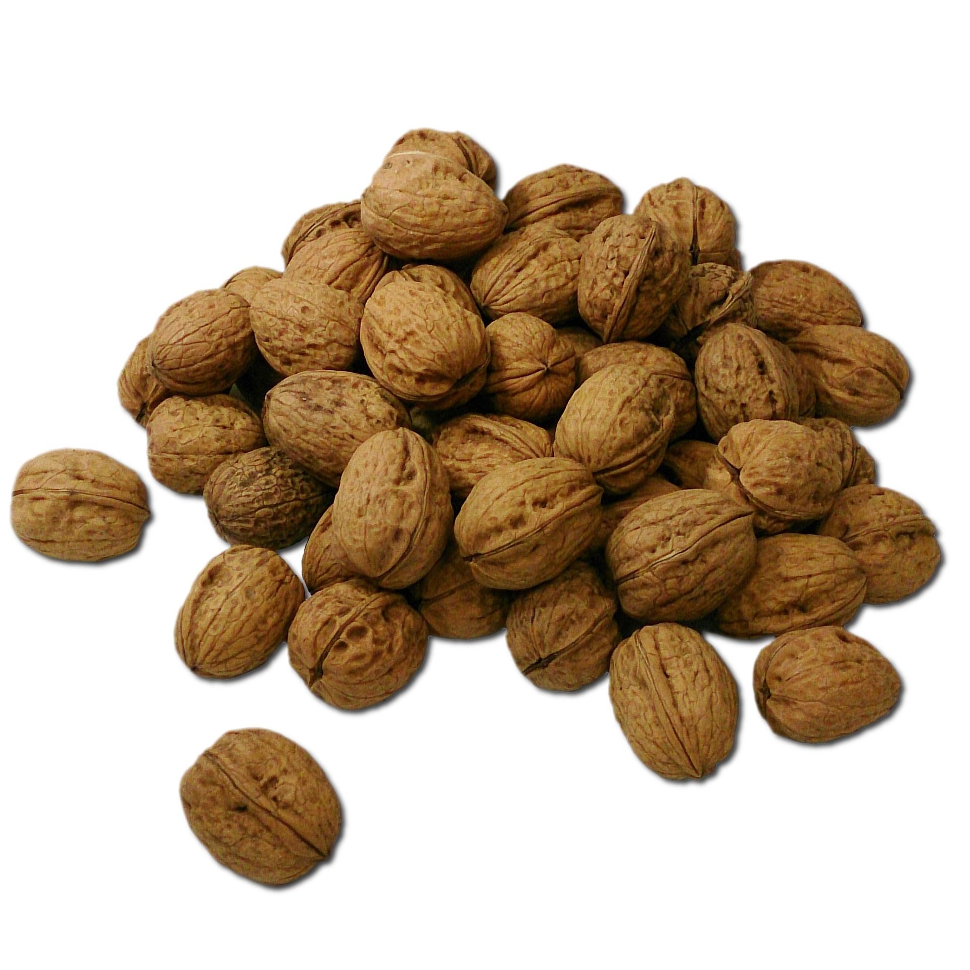 5kg nueces