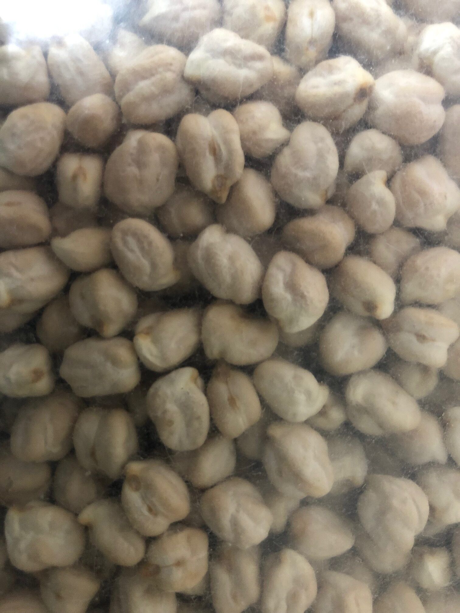 Bolsa de Garbanzos 1 Kg