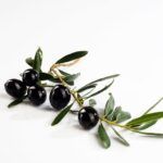 Aceitunas Negra